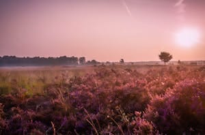 Alle slijterijen per provincie: provincie Overijssel